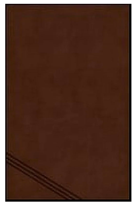 NIV Personal Size Giant Print Bible